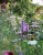 e689ab0f3be26b095e891a9587b5e64e.png