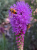 497abb65bb09f8c692bce44298f096ae.png
