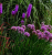8be94a5865b54fc248e953a0a6384f21.png