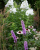 bc5f15f57531eeb8b61e1f82091c20da.png