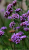 daa88ed37923abce01c063649af72075.png