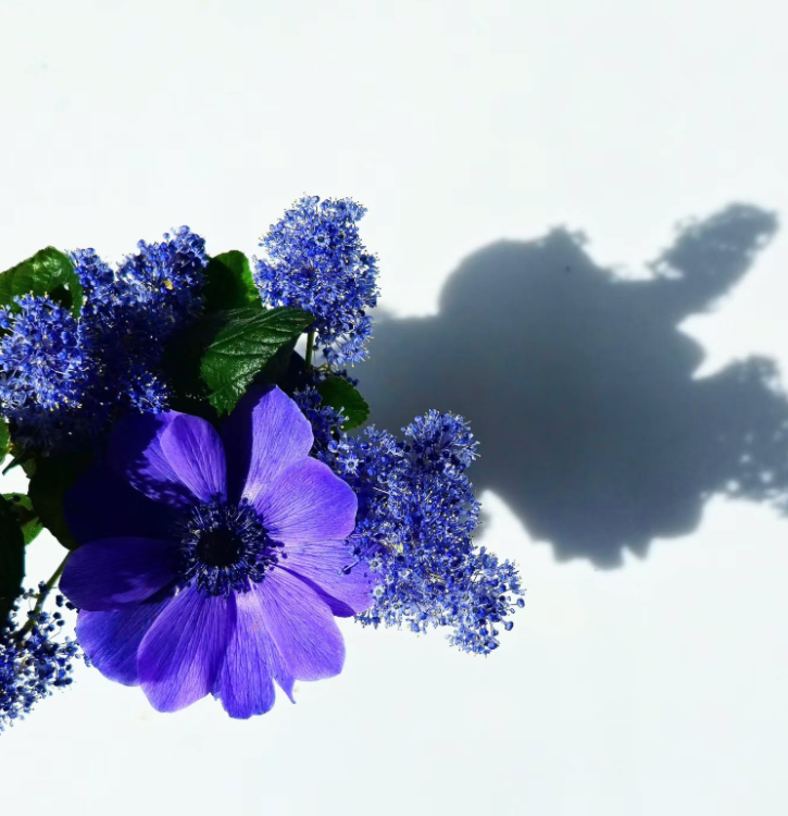 7e49c06b81406f35074e82e36cee8a7c.png