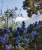 31b40e059e55427dbaa5b8ca15432a2a.png