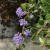 765671f855ed2bac036de793be42d9fc.png