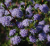 18c9c2fabf81a7875e64912fec2331f9.png