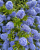 3f5a709839321c6535c8db6eeb886f4e.png