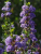 833f988b0a585c7f936367c32cfc9e7c.png