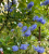 fb3ed9b71e8368cff99f1965eb7ce804.png