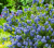 8354d367be443c2a81aa6a4e32139a65.png