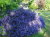 f8add67ceb8507f9c30a18c805cc1d00.png