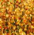 6c9c97ab88595ab3e01e28408aa1a39b.png