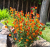 2dfae1107ae9076eefdc8c2f8a448d3d.png