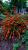 b7f43aaede1e44df52453f9f89e95990.png