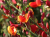 028341063cbfd030eaca21829f5167ad.png
