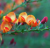 f4bbd6b3292ee69e45a97b6743cdd02b.png