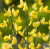 ace0e45f7c07c0d4585a1c12092c1251.png