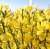 4730cfe07ca63726ae936353876138c6.png