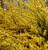 883be2ea62074a6f8f3dcc3a8f8c4b46.png