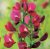 c3320c7ffd50e160f78ccf31812f7975.png
