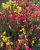 757ed0d6d101e87ebaeb0b89ba1a4445.png