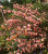 7e0730964b15363ae4e8225c90255587.png