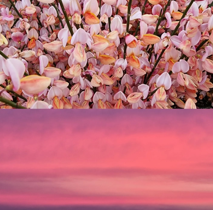 561bdf4ecead303acfb3903f08c98708.png