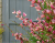 9964874d3ace5089b6312ac62a394c30.png