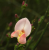 bd8e13d42d8f0ef59b34fc4ca7fd20c6.png