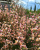 e279eb788a31f4e6d2494345bd66b98b.png