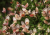 5896d8a4552204c9eb57ef91d1ef8d26.png