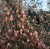 b1097bab741d2afa09d91347b4c616e1.png