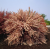 51e3fadf16ac293206ba4b0490b81a53.png