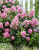 a7f2d9eaa61a1ff6d87facfce7564e8c.png