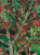 edda8ce3986c9ae68fa40873dd8161f4.png
