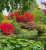 c56e7e4eb943f0412e92dbcc3ebfe45d.png