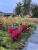 fcf3a9c4d3d0f4528d7e1abaa81c597a.png