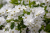 c0c1686e8835f7b2a01049c2fcdc10f2.png