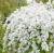 d149b0bb89b78608ec4481f94f9c901f.png