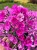ef36fa6cee5d4eba07ddde73d61bb0bc.jpg