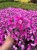 d73b753210f6352ccd20b2ded30faf59.jpg