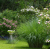 aec8ccde3e6a719271188f0fe8c860a3.png
