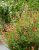 ec1460d8c1d5c3b43326ebddf08519a6.png