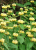 b8e671ddfecad60be1cc596ec92f312c.png