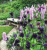 13e784b270d3345d83ffa5664ad59679.png