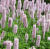 bef9984fd7cf194dd61a4c0af5072a44.png