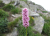 302509affa5907668d20fab7ca047f35.png