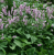 26bb78d2ab2dc1288f3ae832bbecb607.png
