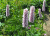 cf7993bdb2774aff67a557acb41aa30a.png