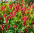 b8f903034eea1750e741036babbcbf4f.png