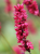 18017a841b88fcca4d1b9d6ebf9b9cf1.png